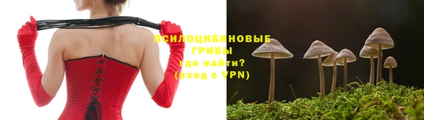 дживик Алексеевка