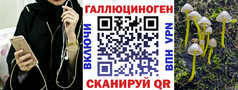наркотики  Михайловск  Псилоцибиновые грибы GOLDEN TEACHER 